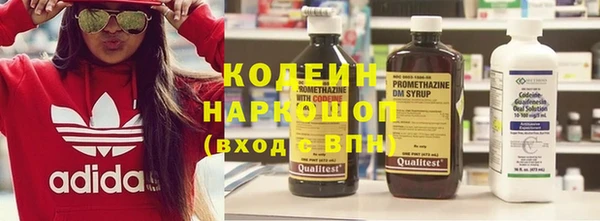 индика Армянск