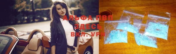 винт Лагань