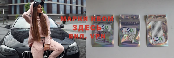 хмурый Арсеньев