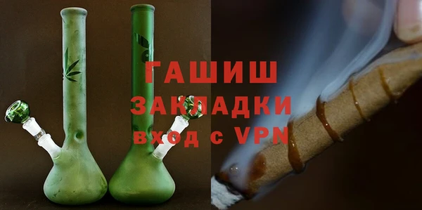 хмурый Арсеньев