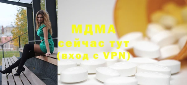 хмурый Арсеньев