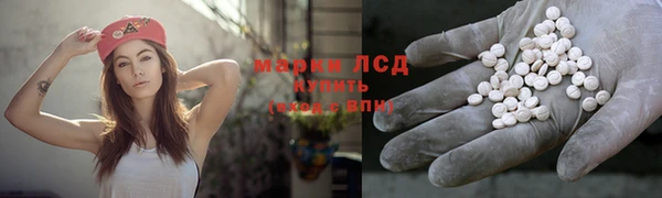 индика Армянск