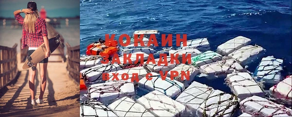 индика Армянск