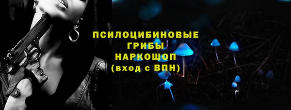 Альфа ПВП Аркадак