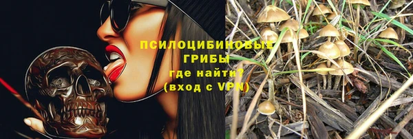 Альфа ПВП Аркадак