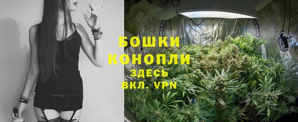 индика Армянск