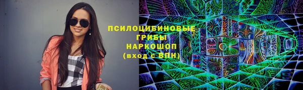 хмурый Арсеньев