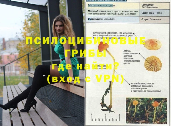индика Армянск