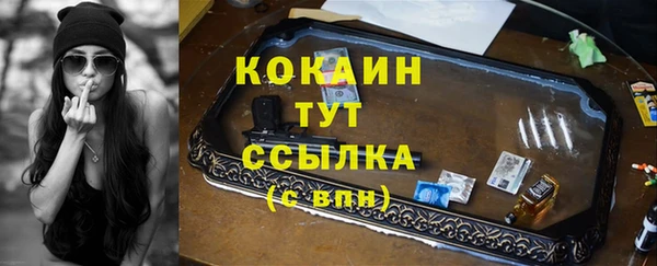 хмурый Арсеньев