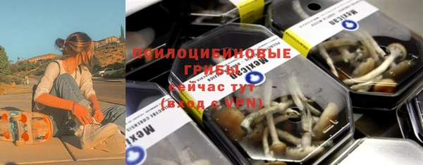 хмурый Арсеньев