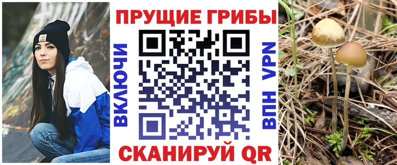 Псилоцибиновые грибы Cubensis  закладка  Благодарный 